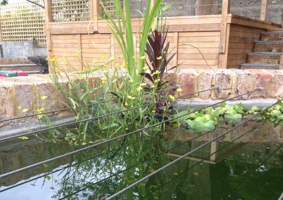 Reclaimed Victorian brick pond. Family garden brighton